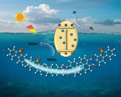 Enhancing photocatalytic hydrogen evolution performance for D-π-A conjugated polymers based on the perylene diimide
